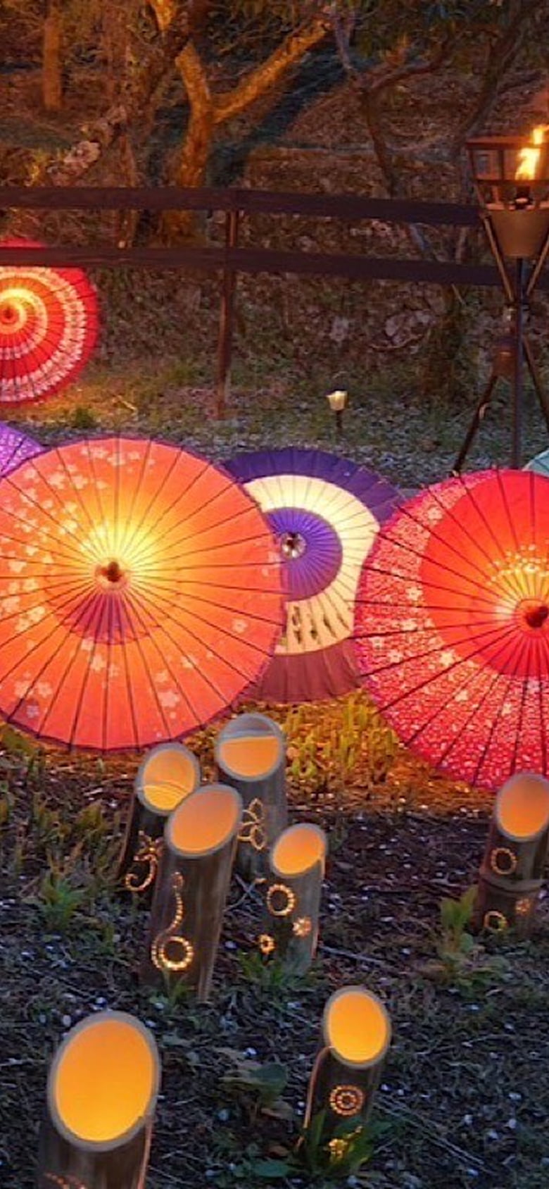 色とりどりの和傘と竹灯籠が並ぶ幻想的な夜のライトアップの様子