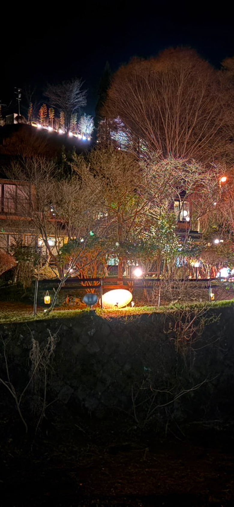 夜の旅館周辺が美しくライトアップされた幻想的な風景
